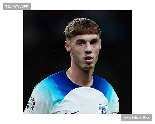 帕尔默伤情未恢复合练 出战热刺仍存疑虑 帕尔默伤情未恢复合练 出战热刺仍存疑虑